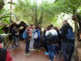 /album/bioparc-fuengirola/p1160118-jpg/