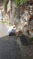 /album/school-trip-to-gibraltar/a20180219-153524-jpg/