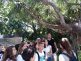/album/visita-al-jardin-botanico/img-20180524-wa0052-jpg/